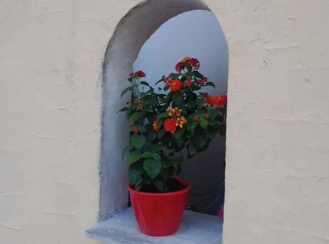 Apartment Anemos Vasilias (Skiathos)