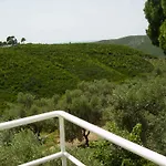 Anemos Vasilias (Skiathos)